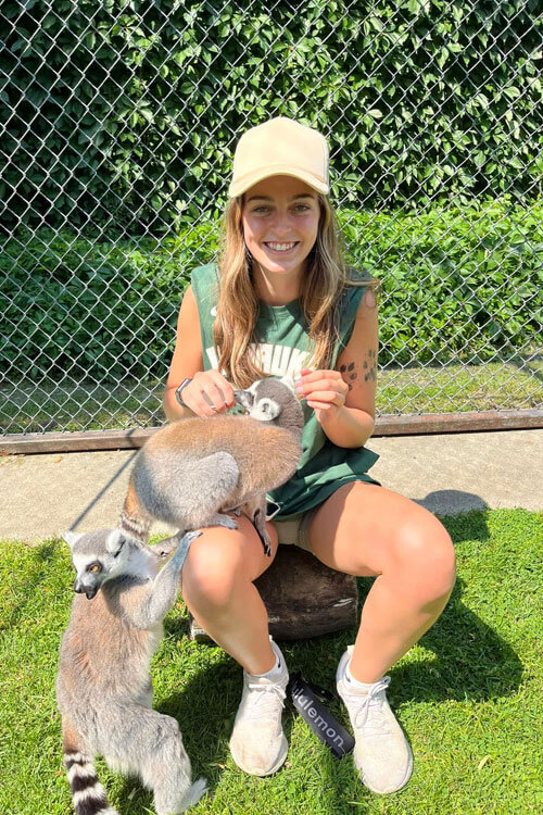 Meetthelemurstwolemurswfemale