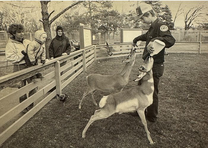 Double feeding animals