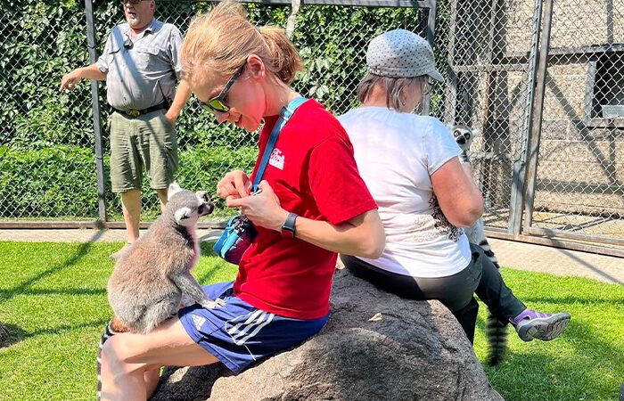Lemurfeeding