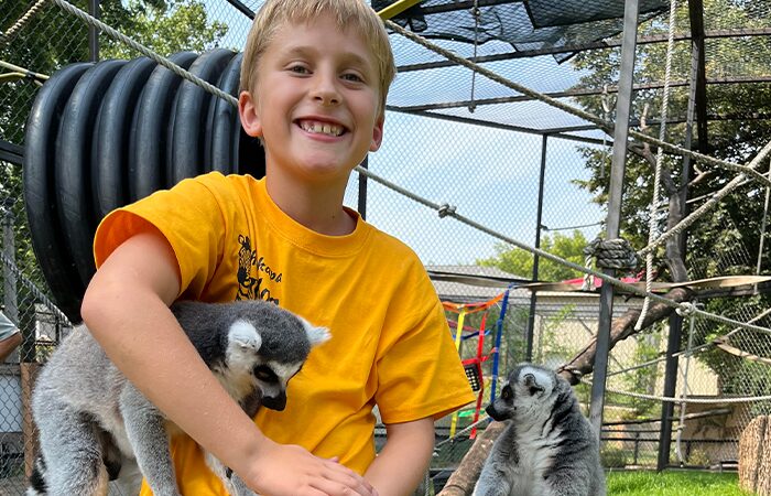 Lemur