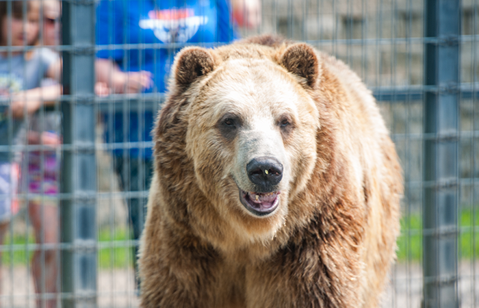 Chahinkapa Zoo Stills (266 Of 369)