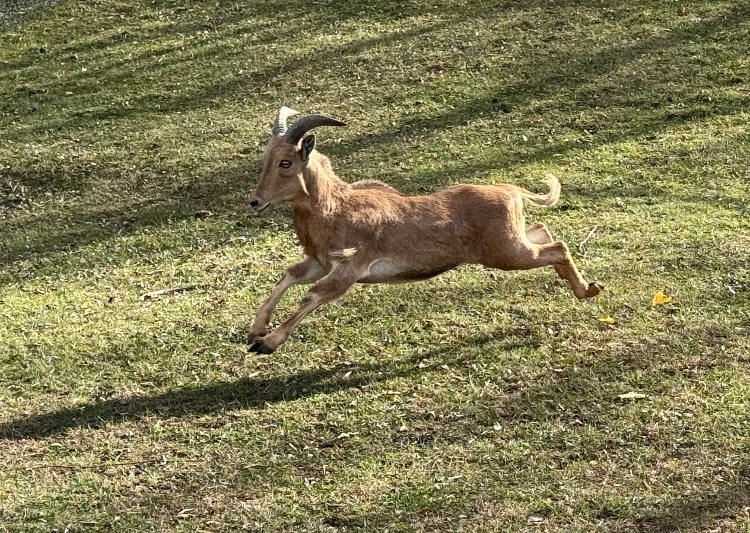 Img 7751 (1) Img 7751 (1)