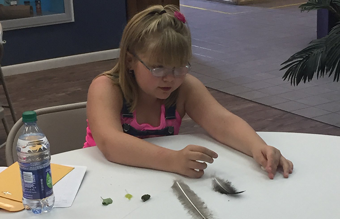 Kididentifyingfeathers